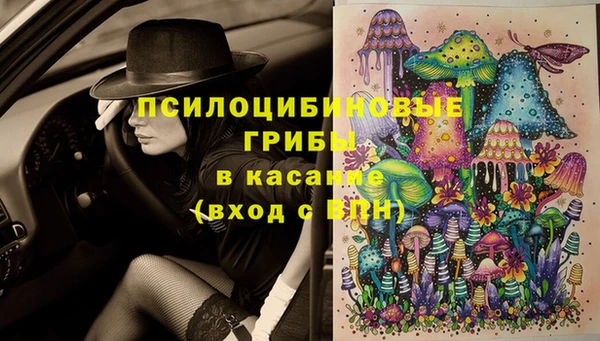 стаф Балахна