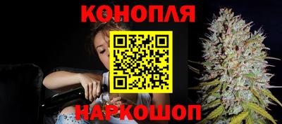 прущие грибы Гагарин