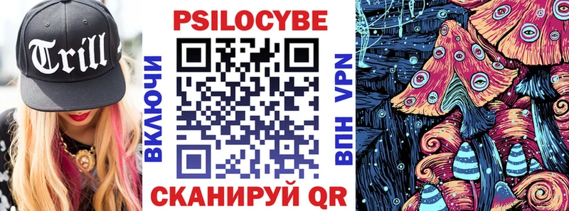 Псилоцибиновые грибы Psilocybe  Сегежа 
